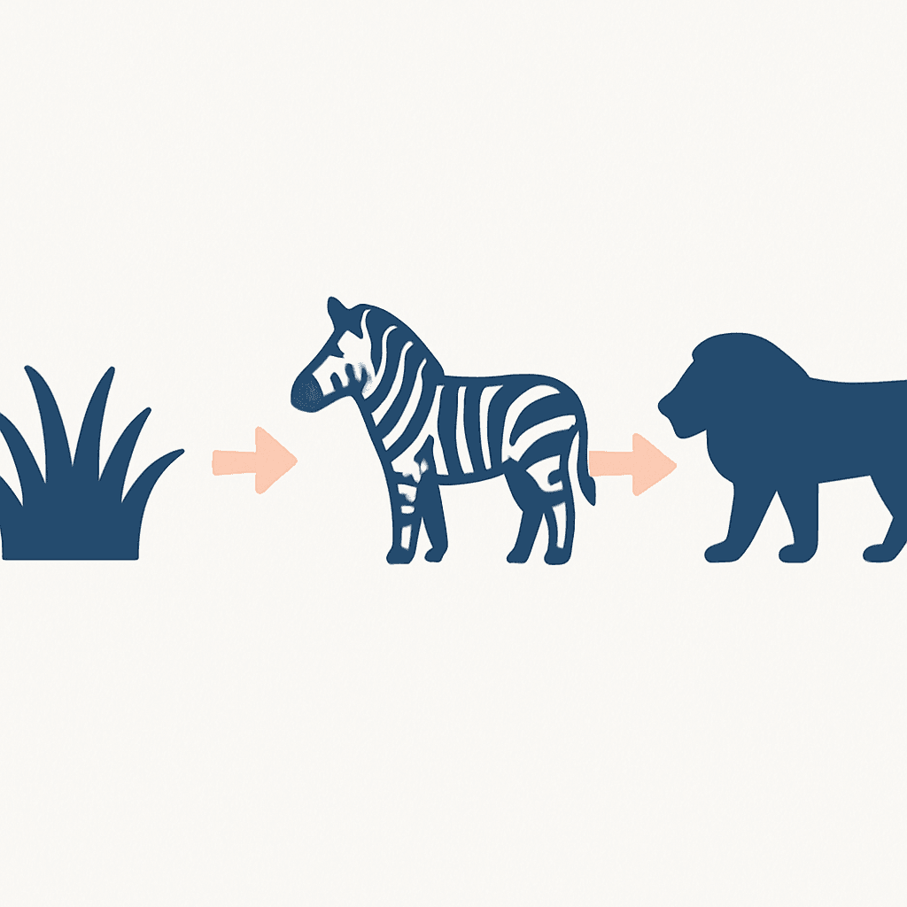 Food chain — grass to lion