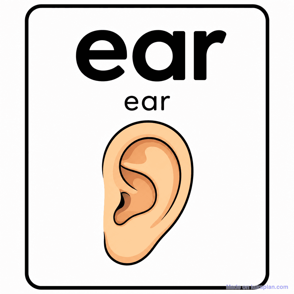 Phonics Sound "ear" — ear