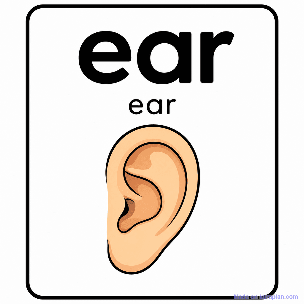 Phonics Sound "ear" — ear