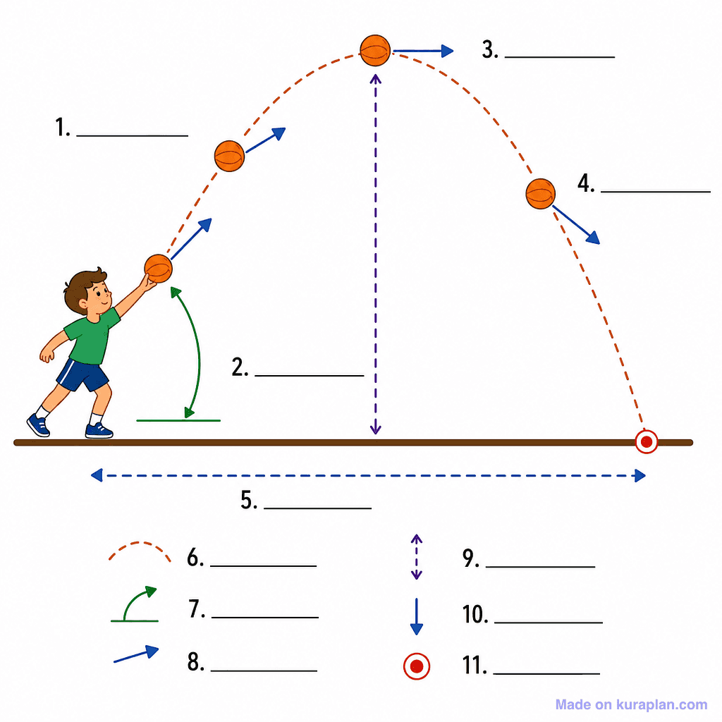 Projectile Motion in Sport (simple, unlabeled)