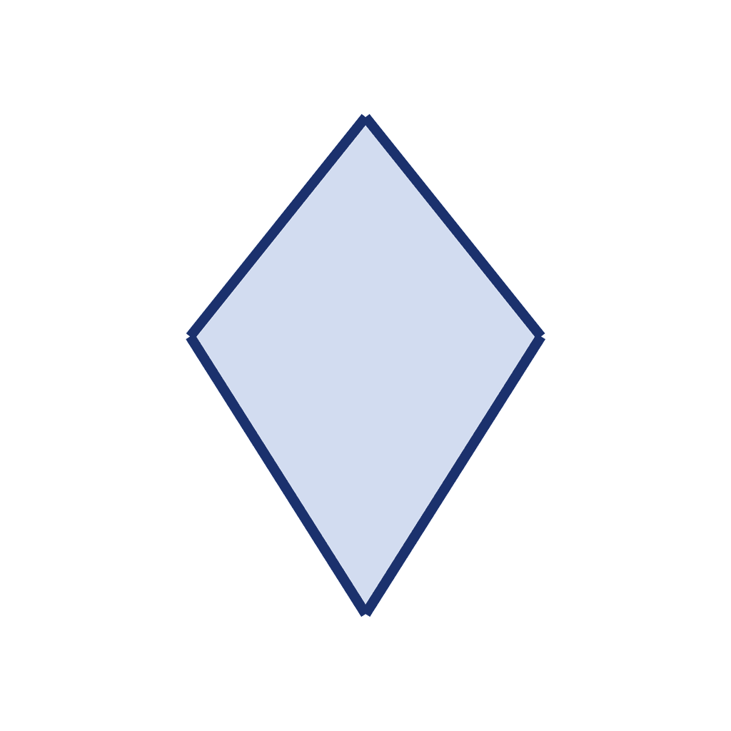 Kite