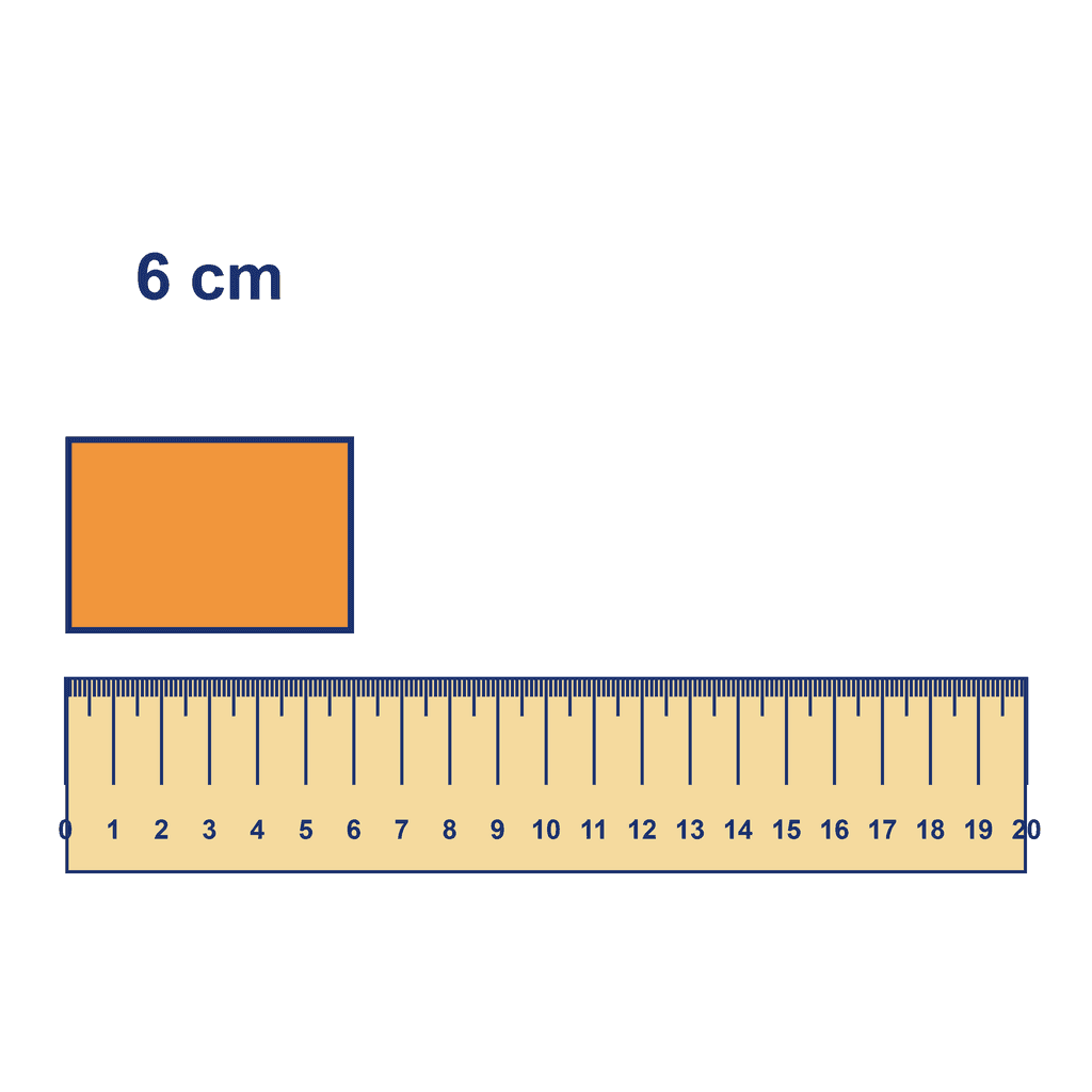 Ruler — Object Measuring 6 cm