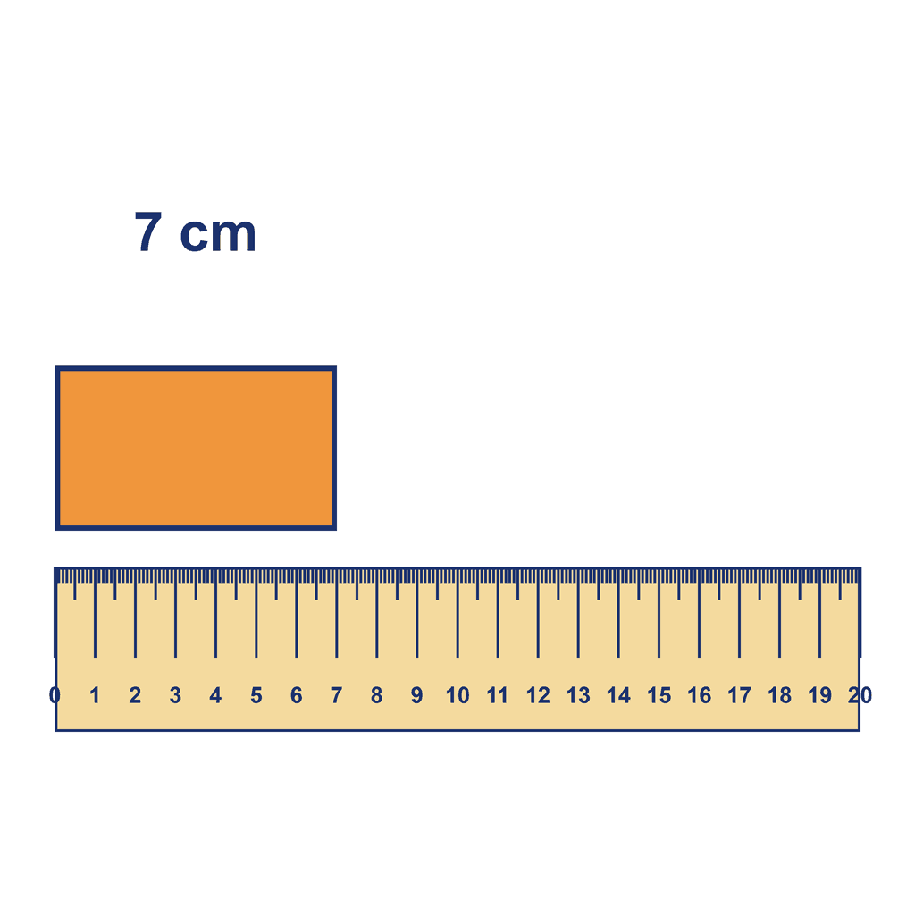 Ruler — Object Measuring 7 cm