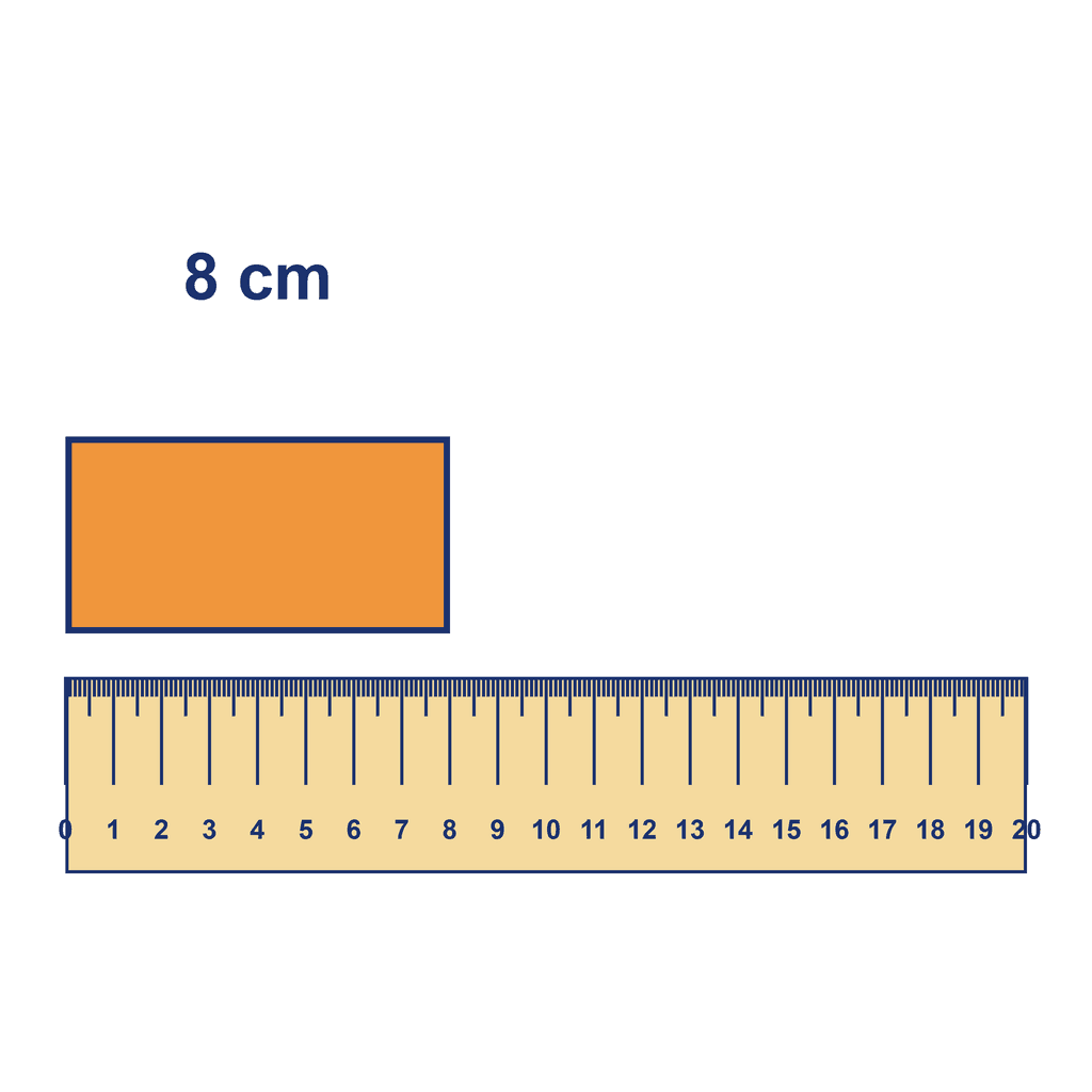 Ruler — Object Measuring 8 cm