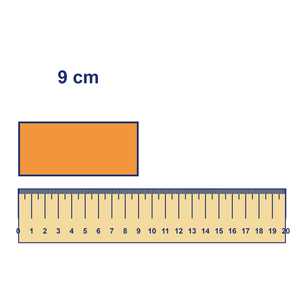 Ruler — Object Measuring 9 cm