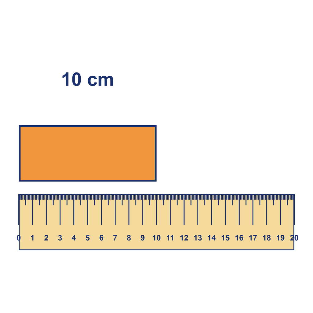 Ruler — Object Measuring 10 cm