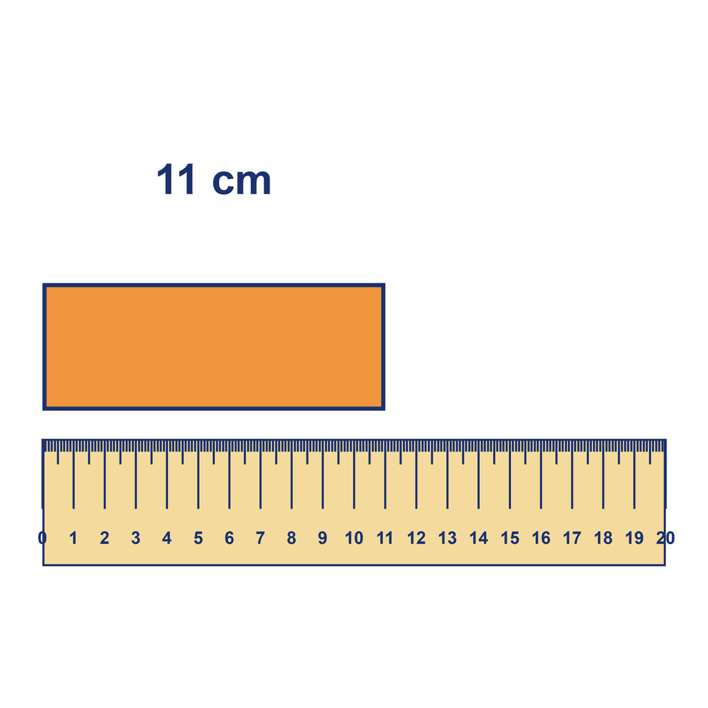 Ruler — Object Measuring 11 cm