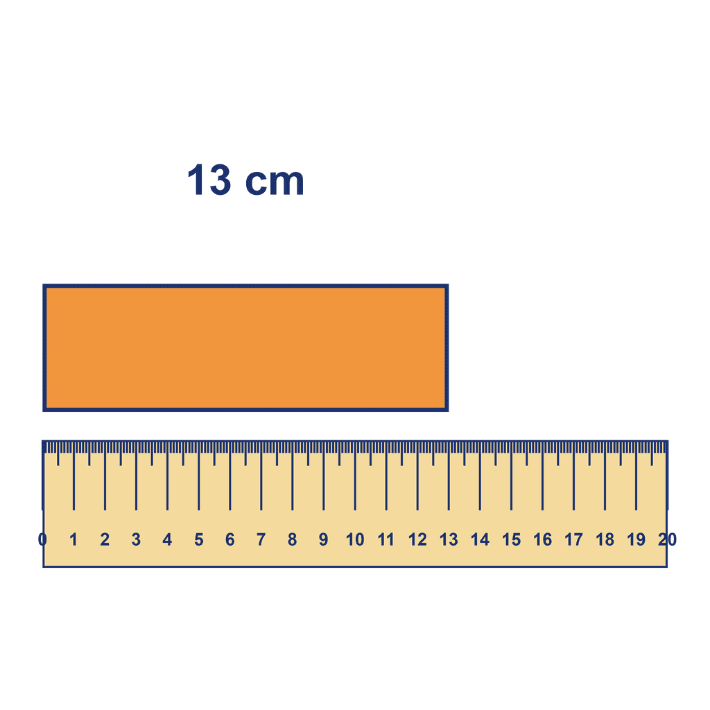 Ruler — Object Measuring 13 cm