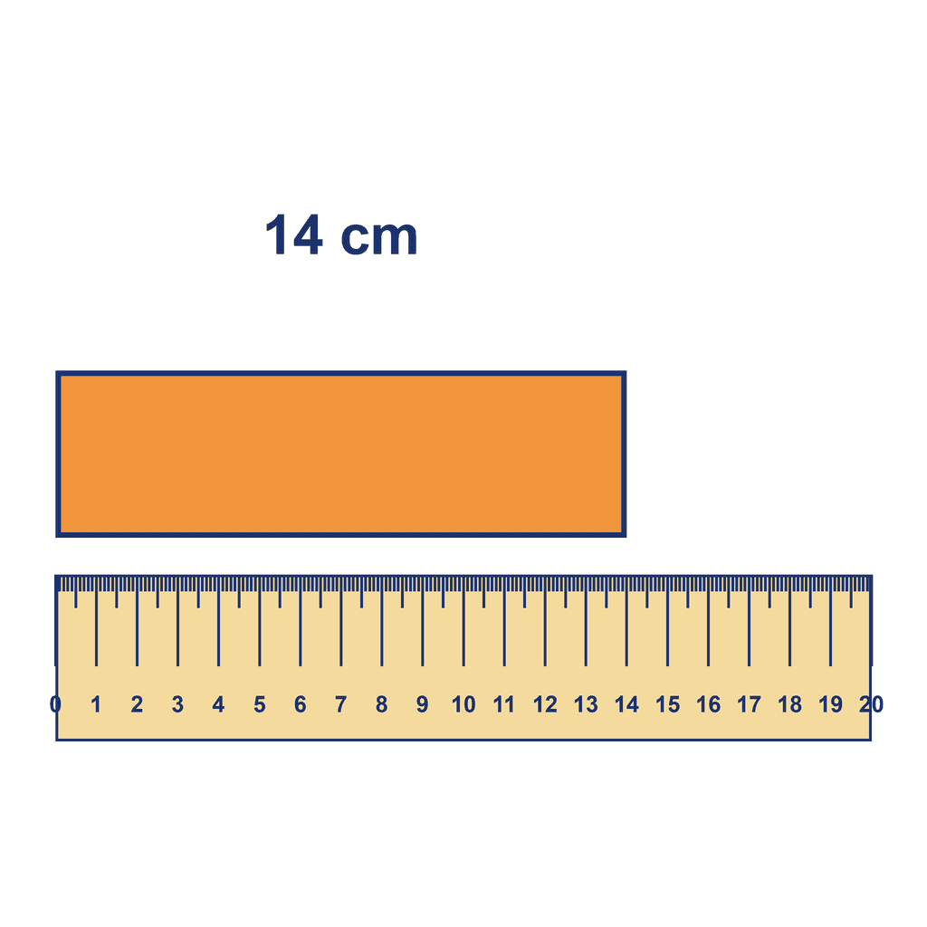 Ruler — Object Measuring 14 cm