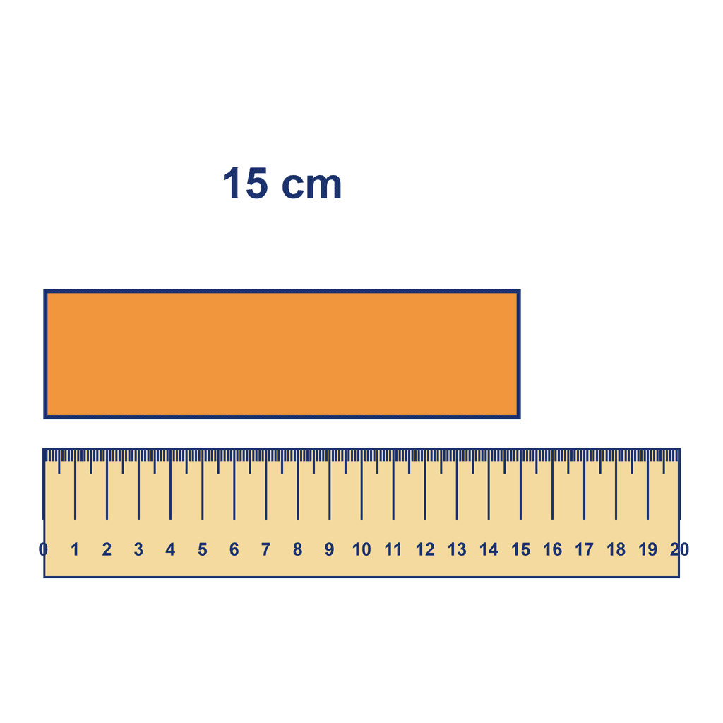 Ruler — Object Measuring 15 cm
