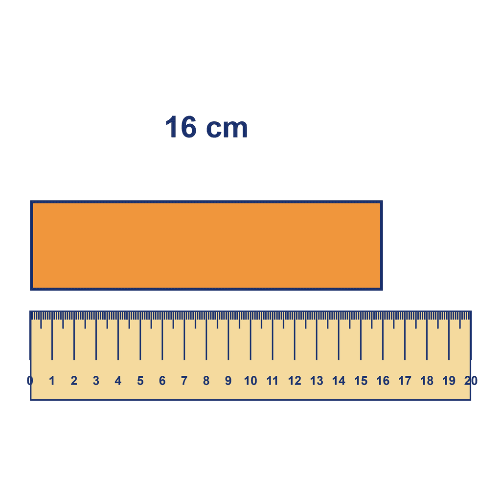 Ruler — Object Measuring 16 cm