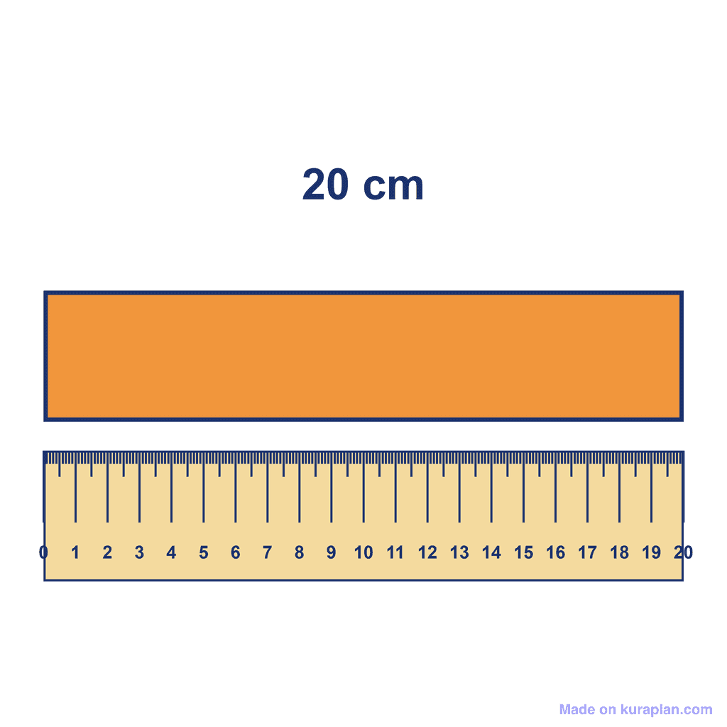Ruler — Object Measuring 20 cm