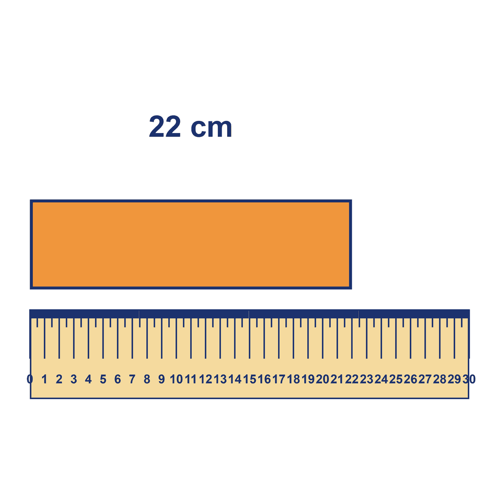 Ruler — Object Measuring 22 cm