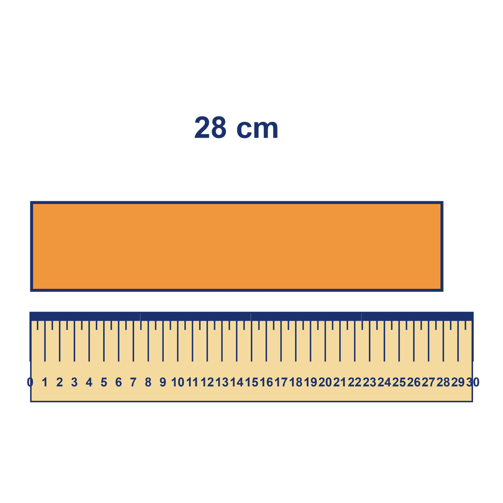 Ruler — Object Measuring 28 cm