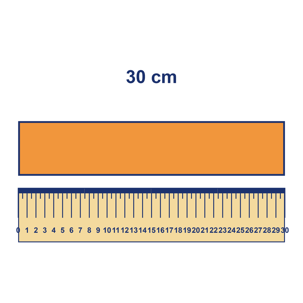 Ruler — Object Measuring 30 cm