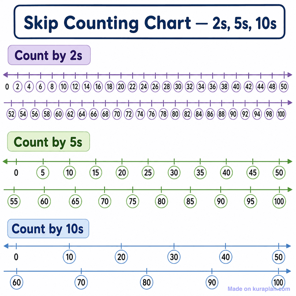Skip Counting Chart — 2s, 5s, 10s (simple)