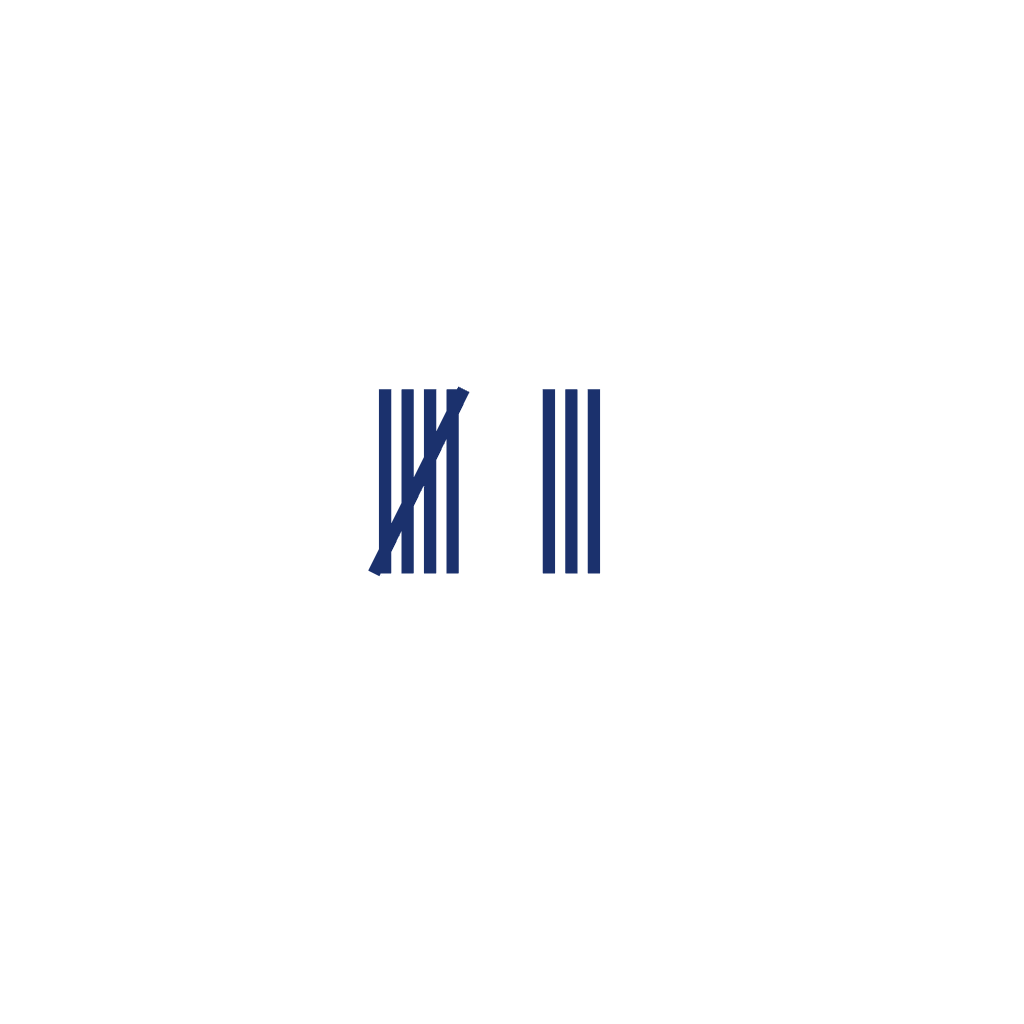 Tally Marks — 8