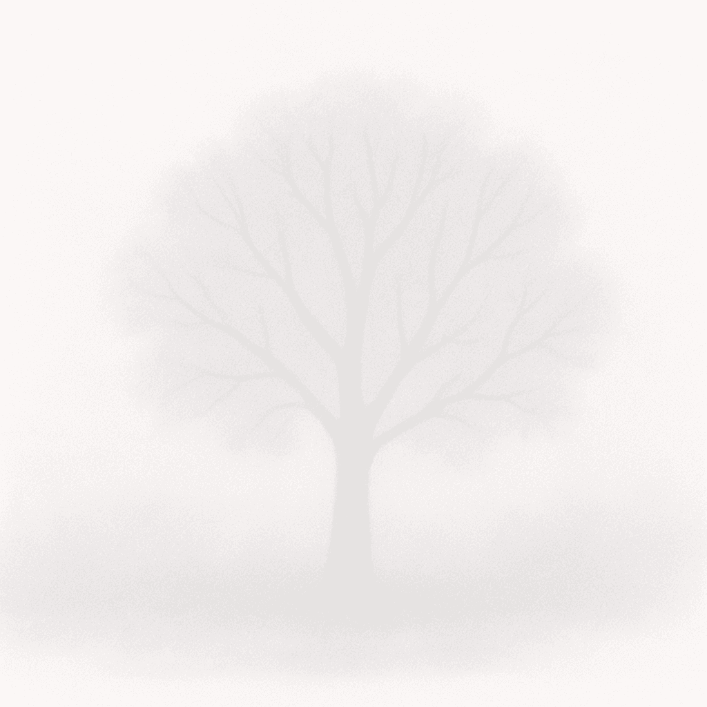 Weather — Foggy