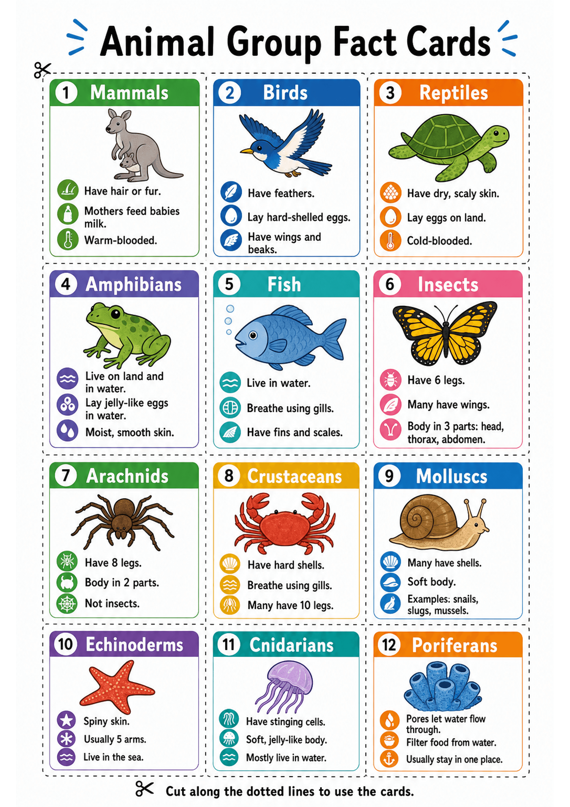 Animal Group Fact Cards: One A4 page divided into 12 rectangular, colour-coded cards arranged in a 3x4 grid with dashed cut lines and a scissor icon; each card shows a numbered circle, a coloured header with the group name (e.g. 'Mammals', 'Birds', 'Reptiles'), a large hand-drawn illustration (animal example), three short bullet facts each paired with a small circular icon (e.g. feather, egg, thermometer), and simple single-line statements (3 bullets per card). Small footer instruction: 'Cut al...