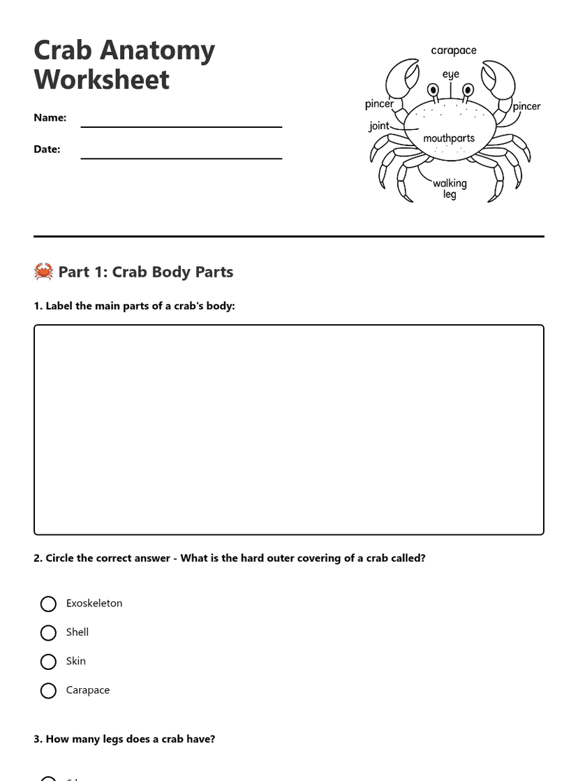 Crab Anatomy Worksheet
