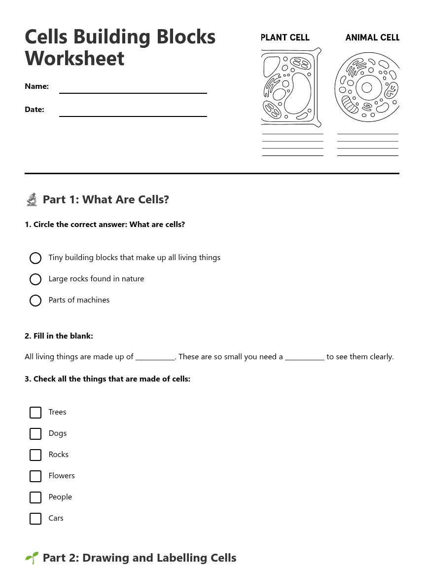 Cells Building Blocks Worksheet worksheet preview