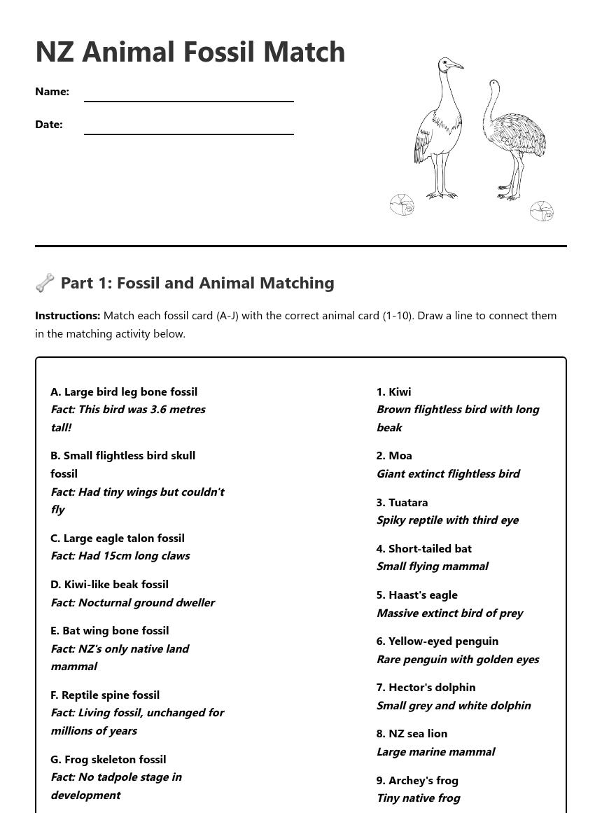 NZ Animal Fossil Match worksheet preview