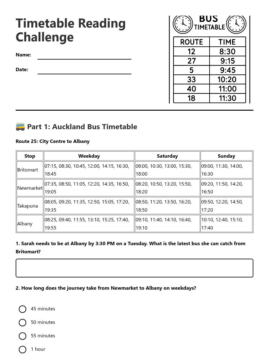 Timetable Reading Challenge worksheet preview