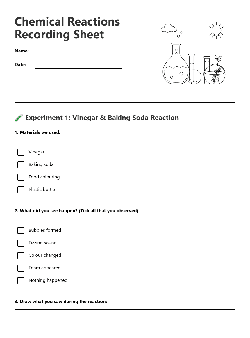 Chemical Reactions Recording Sheet worksheet preview