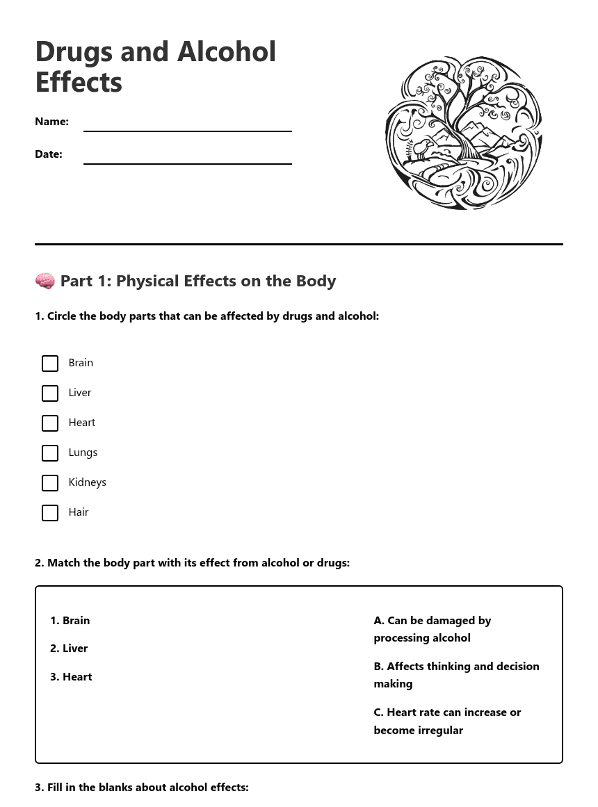 Drugs and Alcohol Effects worksheet preview