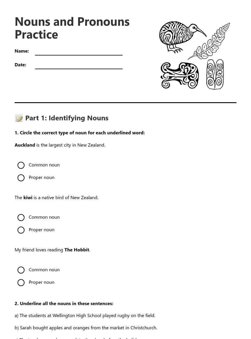 Nouns and Pronouns Practice