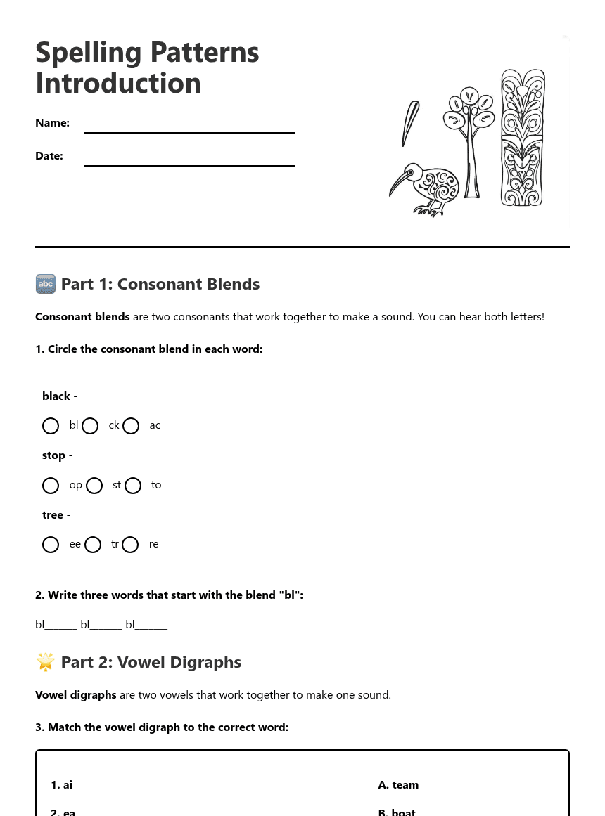 Spelling Patterns Introduction worksheet preview