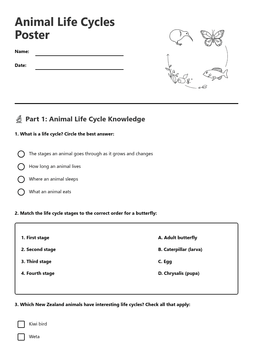 Animal Life Cycles Poster worksheet preview