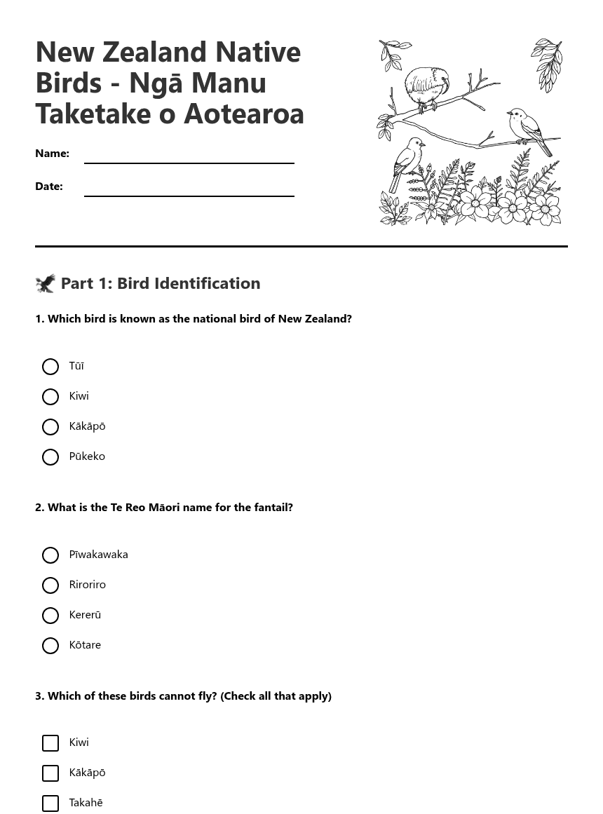 New Zealand Native Birds worksheet preview