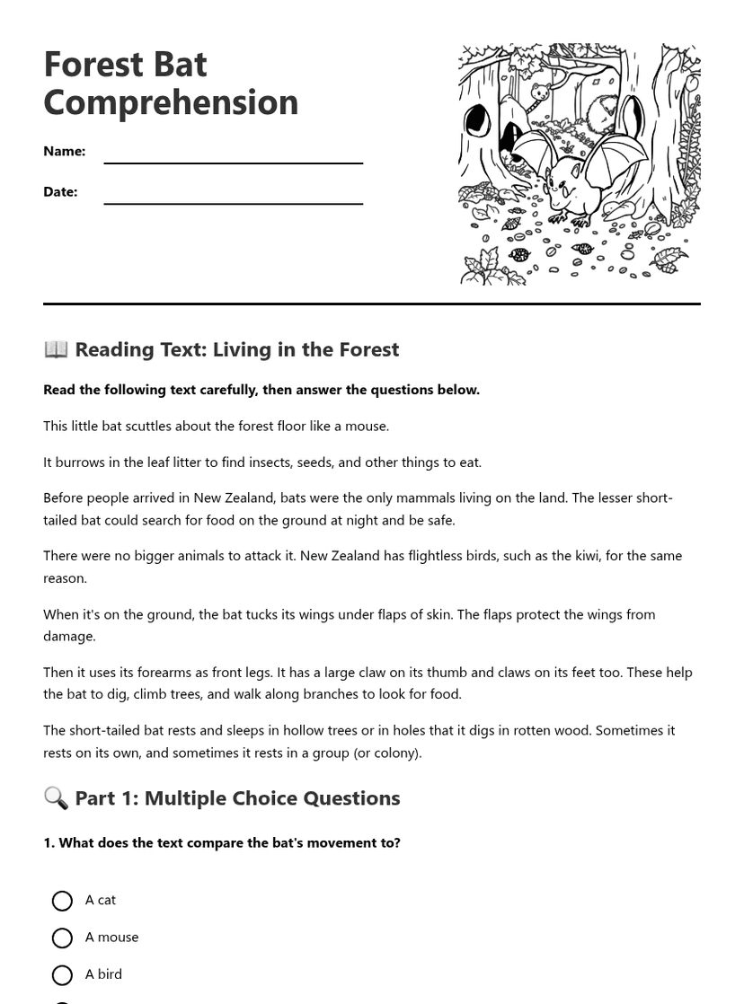 Forest Bat Comprehension