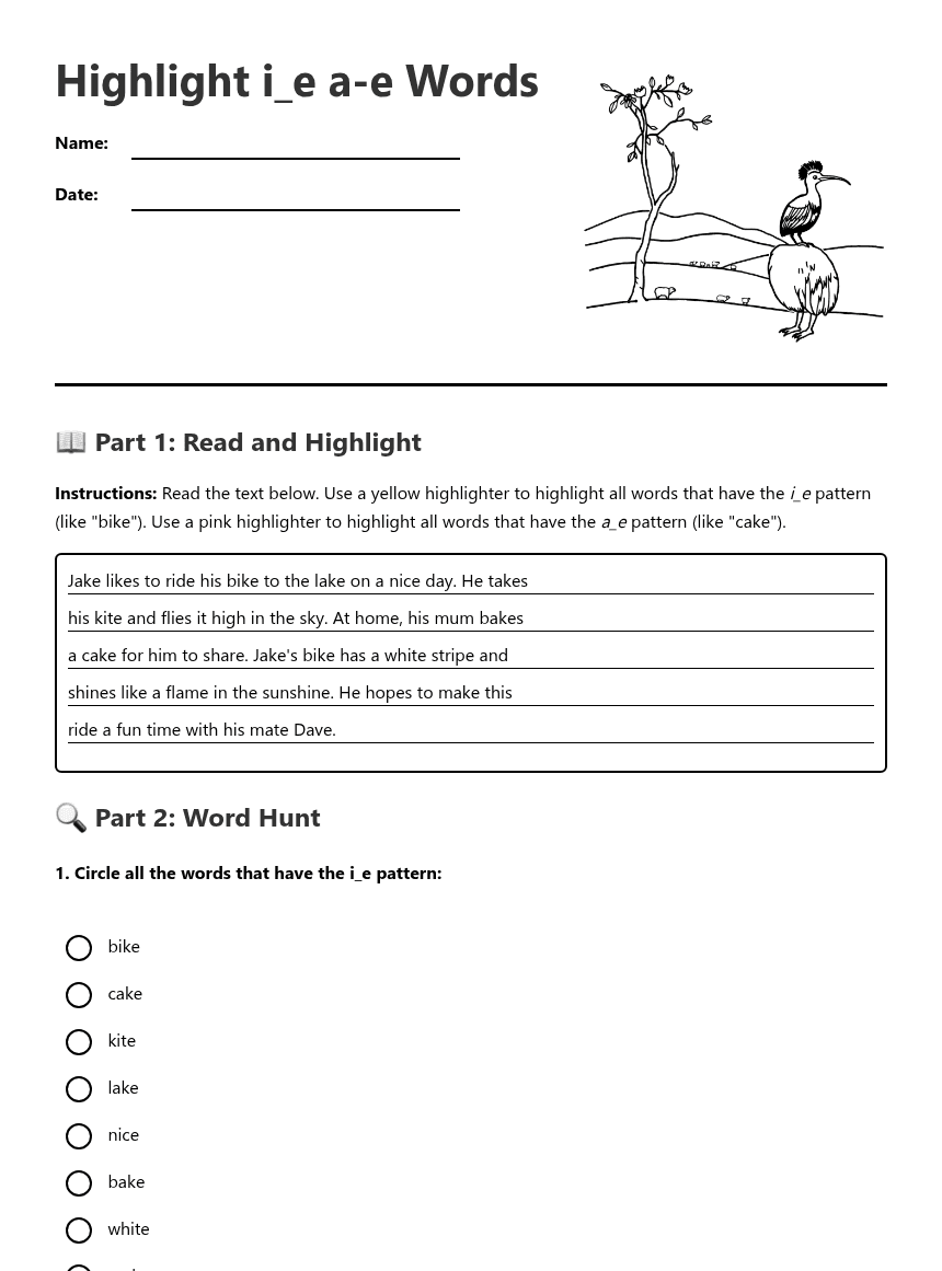 Highlight i_e a-e Words worksheet preview