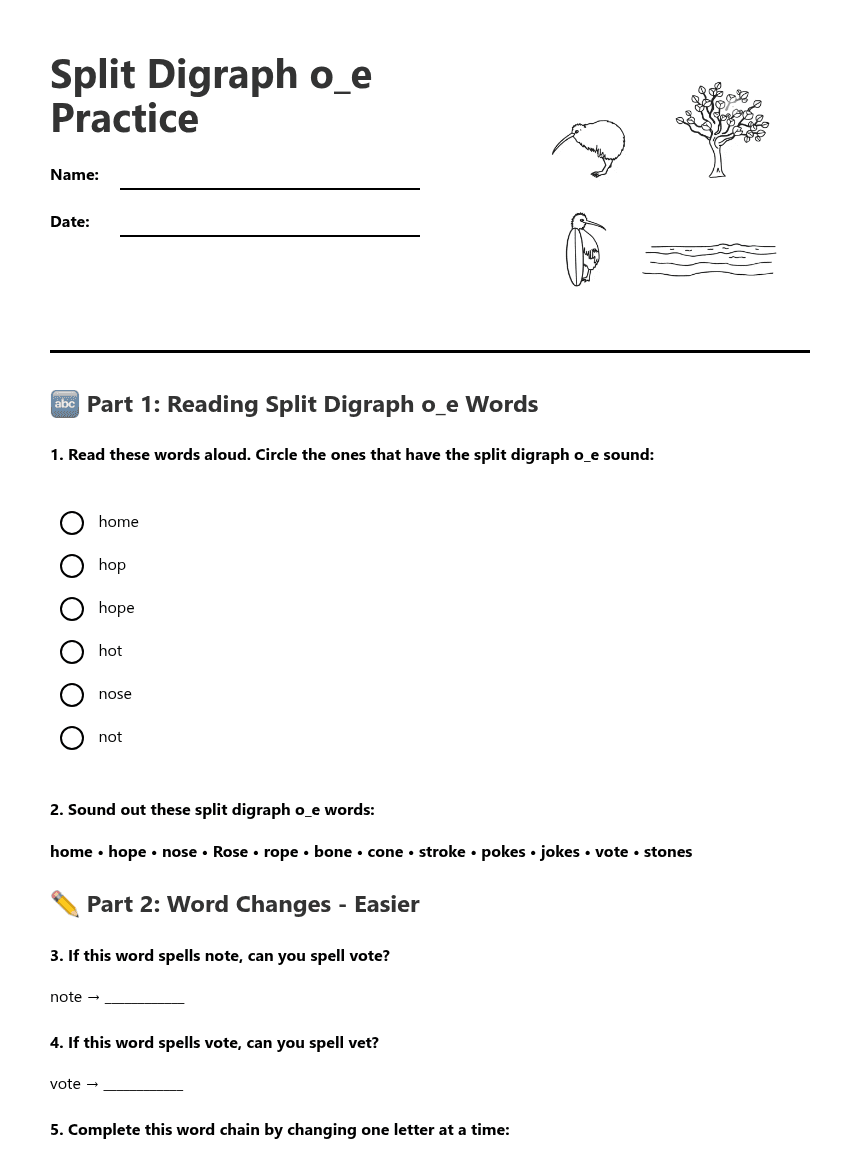 Split Digraph o_e Practice worksheet preview