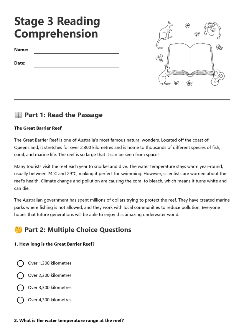 Stage 3 Reading Comprehension
