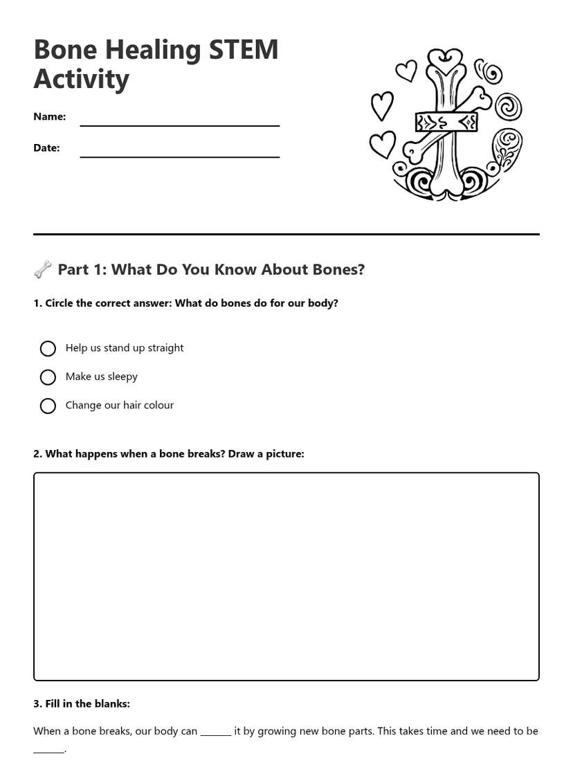 Bone Healing STEM Activity