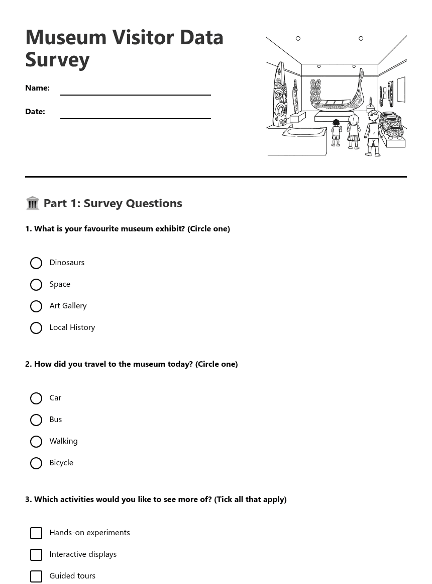 Museum Visitor Data Survey worksheet preview