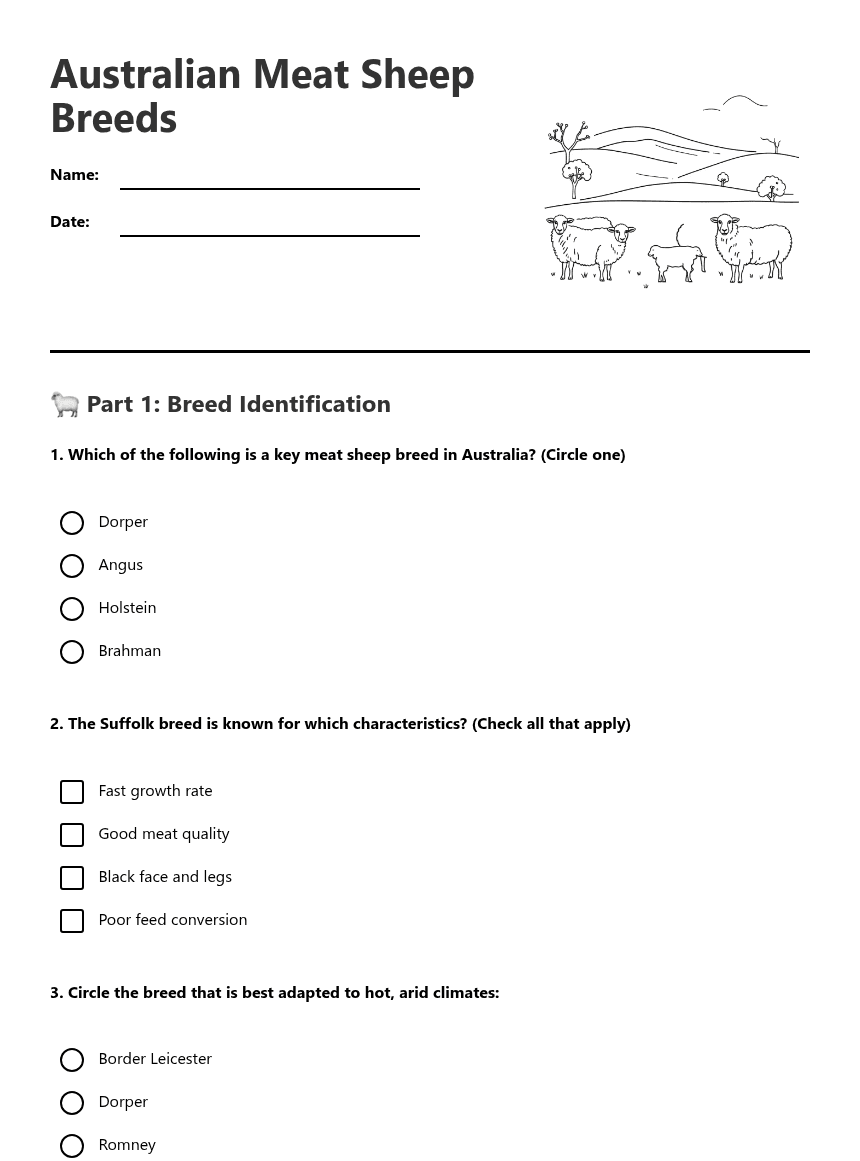 Australian Meat Sheep Breeds worksheet preview