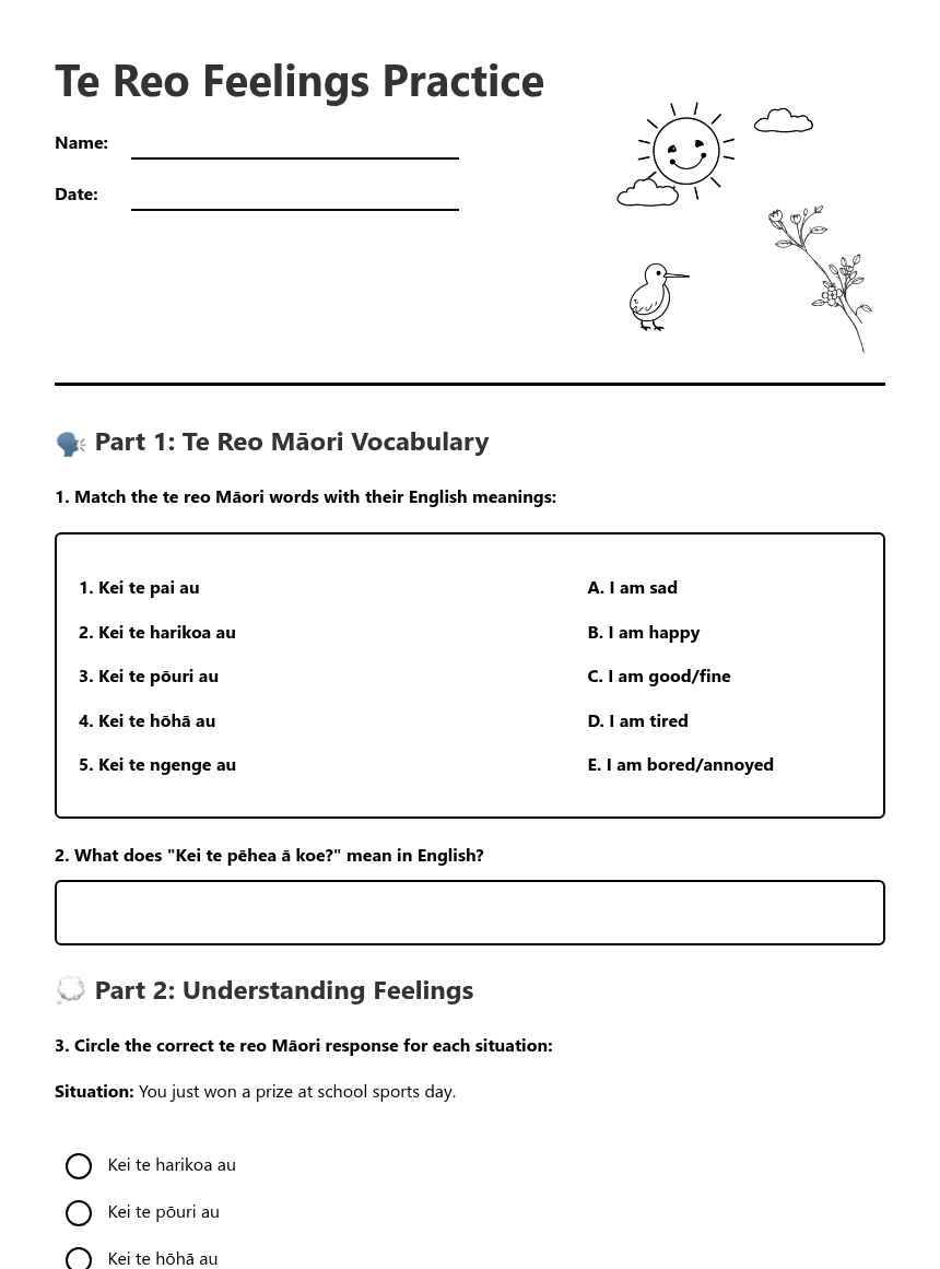 Te Reo Feelings Practice worksheet preview