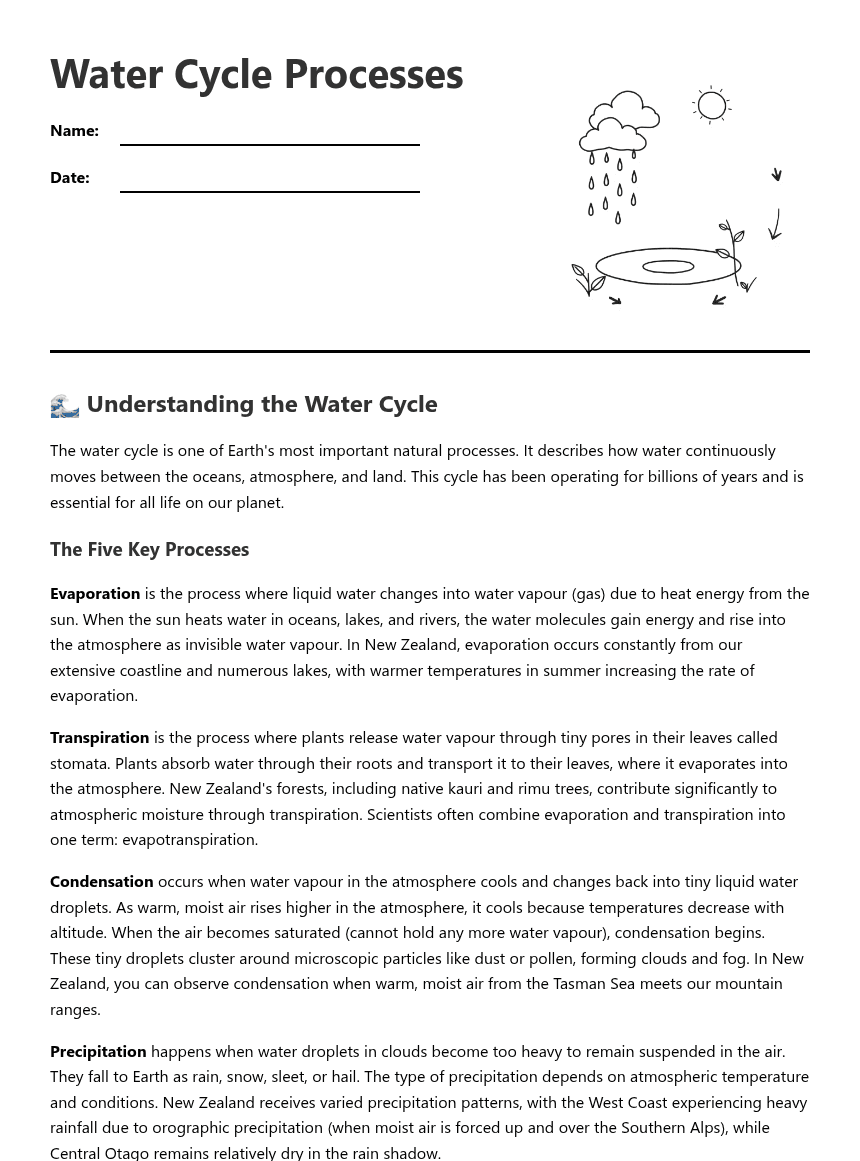 Water Cycle Processes worksheet preview