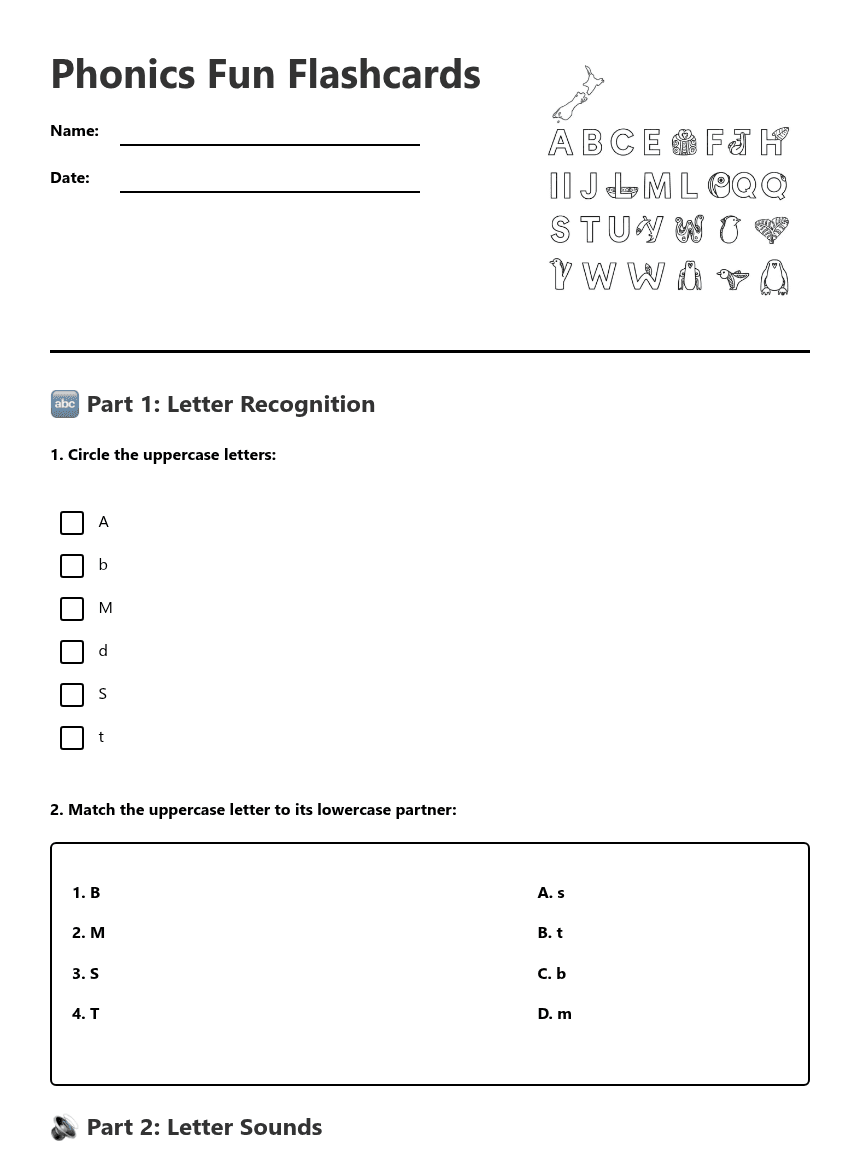 Phonics Fun Flashcards worksheet preview