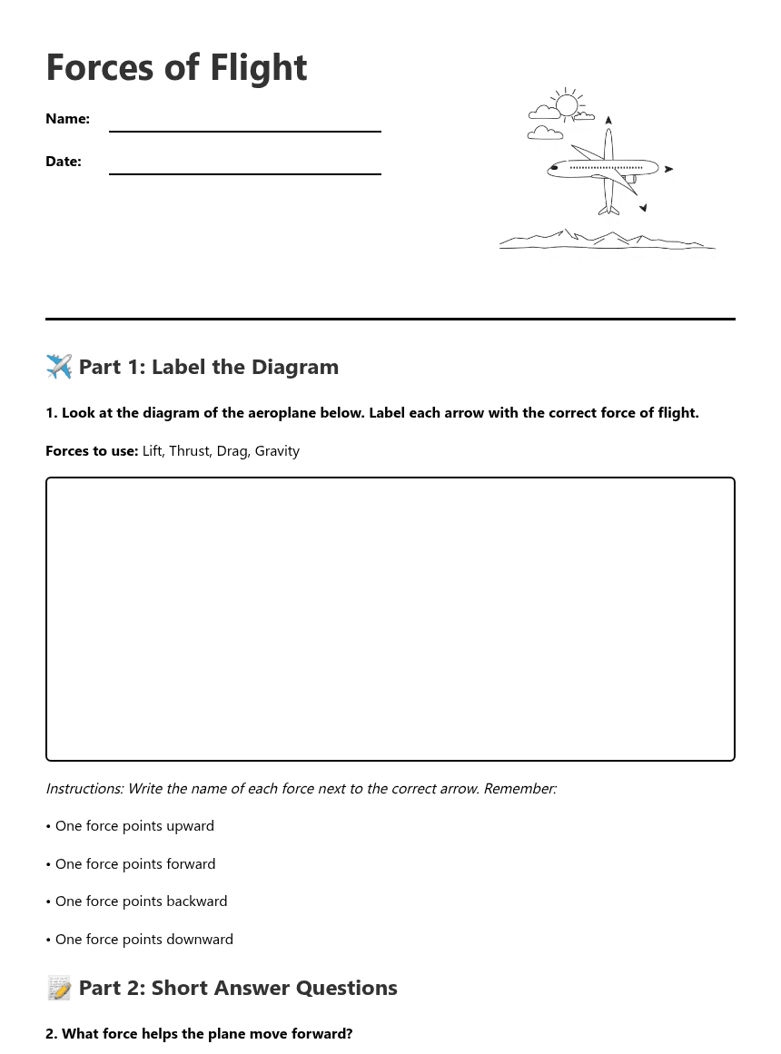 Forces of Flight worksheet preview