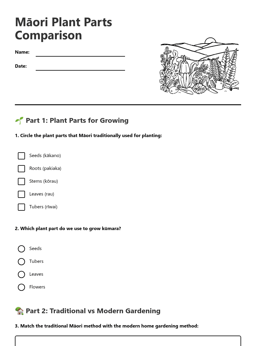 Māori Plant Parts Comparison worksheet preview