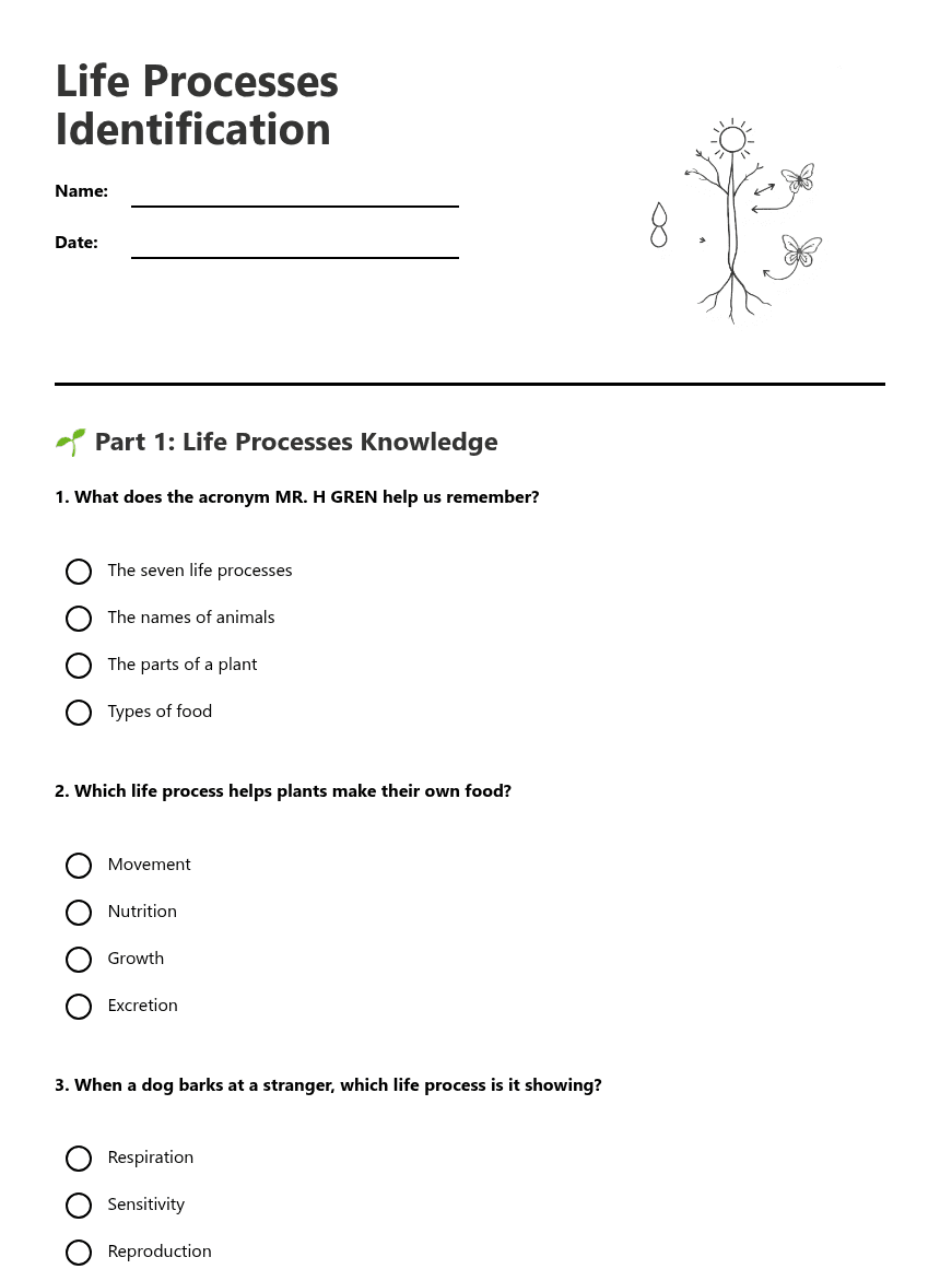 Life Processes Identification worksheet preview