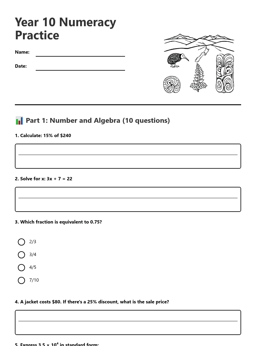 Year 10 Numeracy Practice worksheet preview