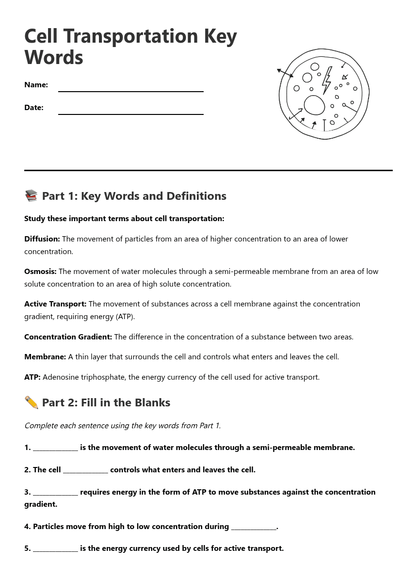 Cell Transportation Key Words worksheet preview