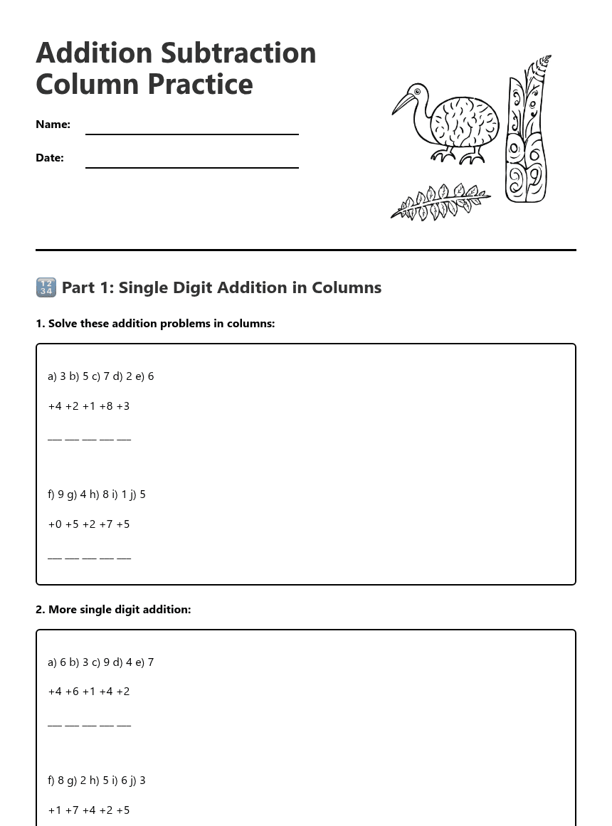 Addition Subtraction Column Practice worksheet preview
