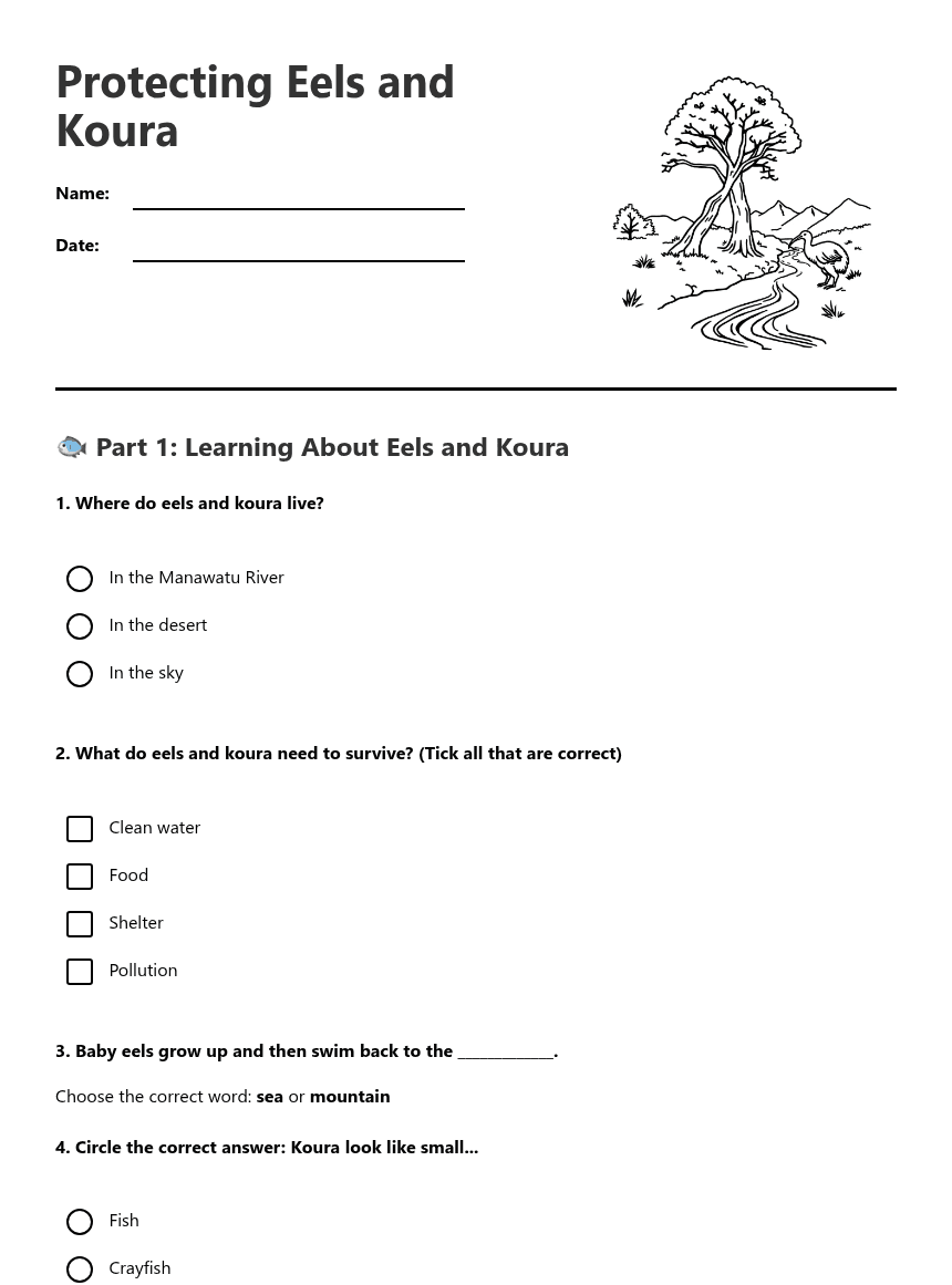 Protecting Eels and Koura worksheet preview